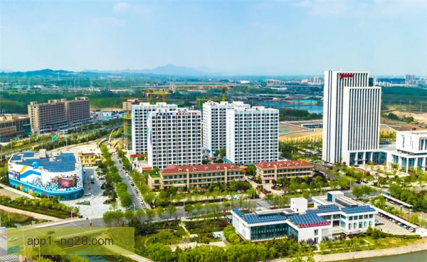青岛西海岸合同续约优先级，核心老将新星如何排序